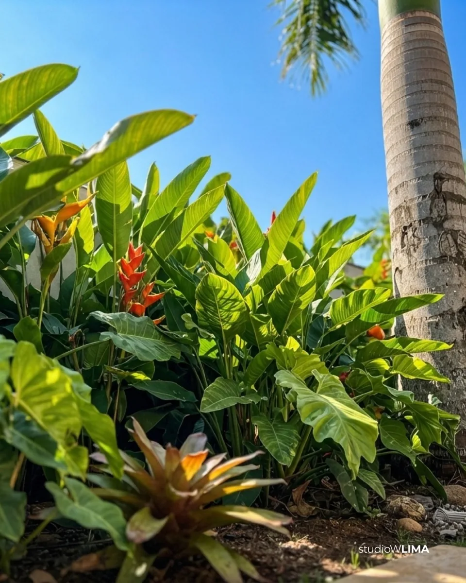 Paisagismo tropical com helicônias, bromélias e palmeira no jardim do Sítio I&J